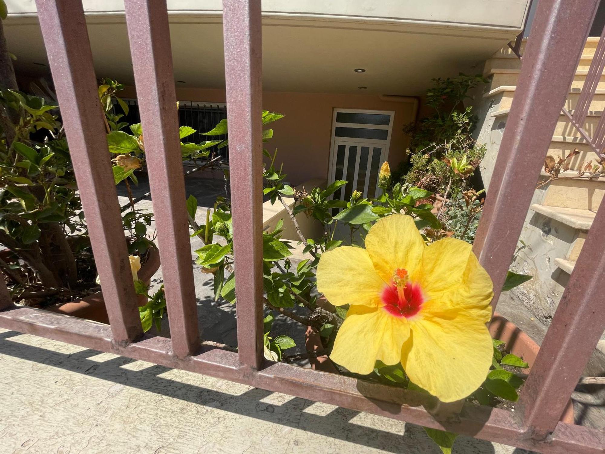 - Independent In Quiet Area Appartement
